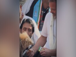 'मुझे तो पूरा गांधी परिवार बिस्किट नहीं खिला सका" : राहुल के डॉगी वाले VIDEO पर हिमंत ने कसा तंज 'मुझे तो पूरा गांधी परिवार बिस्किट नहीं खिला सका" : राहुल के डॉगी वाले VIDEO पर हिमंत ने कसा तंज