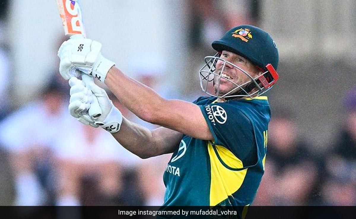 "अब युवाओं के लिए ...", डेवड वॉर्नर ने इंटरनेशनल क्रिकेट से संन्यास के दिए संकेत, यह टूर्नामेंट होगा आखिरी