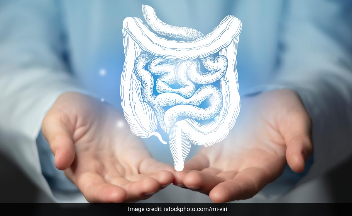 Health News: पाचन संबंधी बीमारियों से हैं परेशान! आंतों को स्वस्थ्य रखने के लिए फॉलो कीजिए ये टिप्स-ट्रिक्स