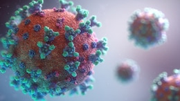 6 Zika Virus Cases In Pune, 2 Patients Are Pregnant Women