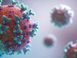 6 Zika Virus Cases In Pune, 2 Patients Are Pregnant Women 6 Zika Virus Cases In Pune, 2 Patients Are Pregnant Women