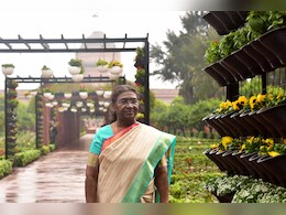 14 फरवरी को राष्ट्रपति द्रौपदी मुर्मू का राजस्थान दौरा, मेहंदीपुर बालाजी के साथ-साथ डूंगरपुर भी आ सकती हैं महामहिम 14 फरवरी को राष्ट्रपति द्रौपदी मुर्मू का राजस्थान दौरा, मेहंदीपुर बालाजी के साथ-साथ डूंगरपुर भी आ सकती हैं महामहिम