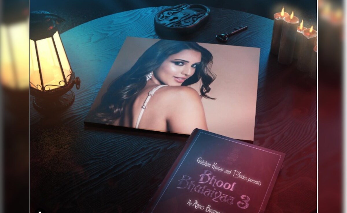 The Internet Guessed Kartik Aaryan's <i>Bhool Bulaiyaan 3</i> Co-Star Correctly - Triptii Dimri