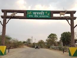 Wildlife Census: चित्तौड़गढ़ के इन 2 अभ्यारण्यों में वन्यजीवों के गणना की जगी उम्मीद, जानें कैसे होती है गणना 