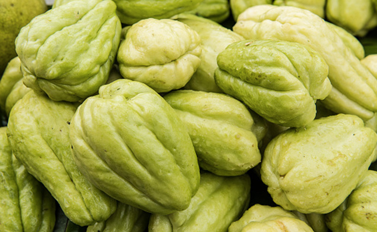 Consuming chayote encourages the development of good bacteria in the digestive system
