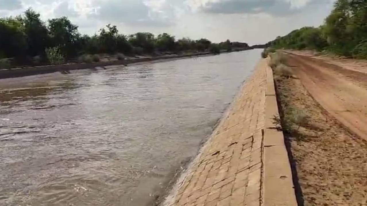 जैसलमेर में रबी की खेती करने वाले किसानों के अचानक क्यों खिल उठे चेहरे? देखिए...