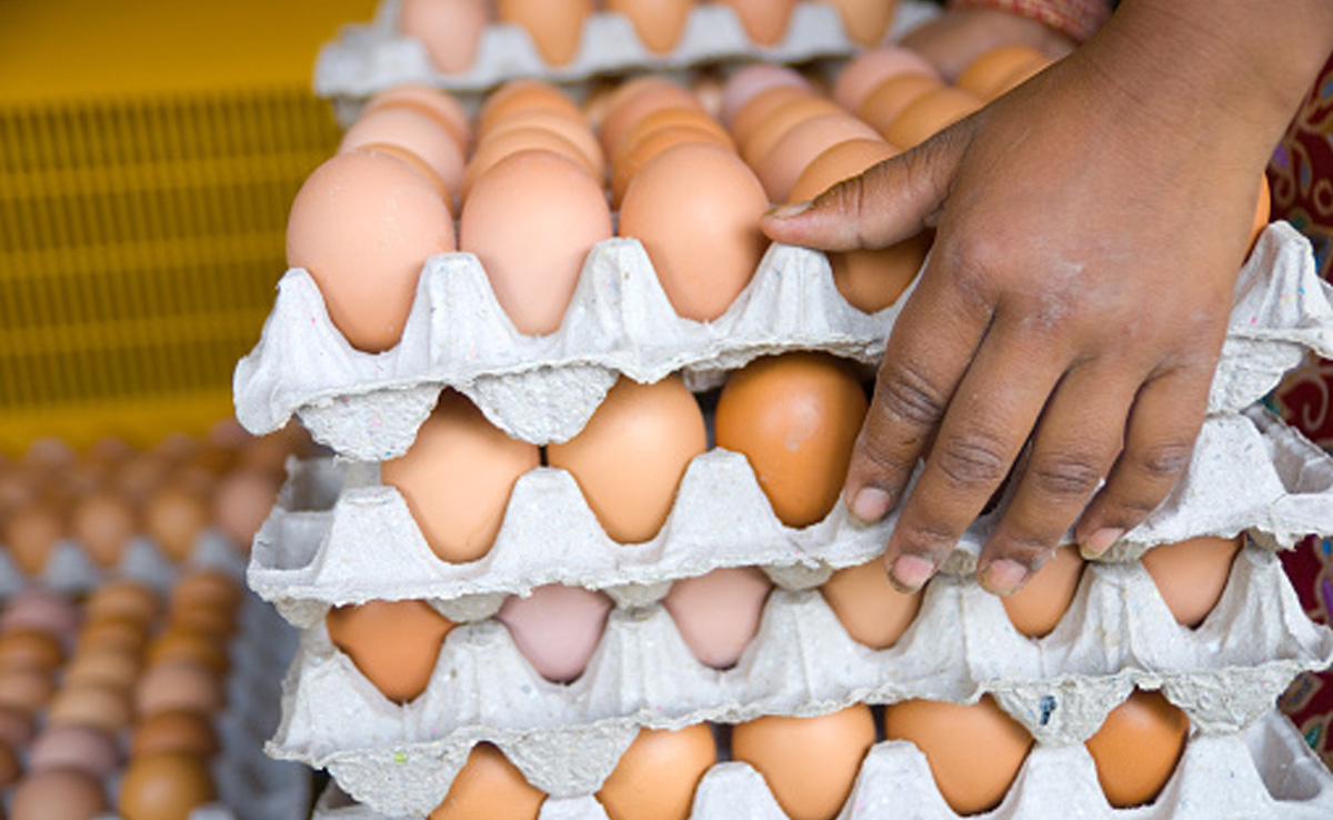 Row Over Omelettes, Boiled Eggs In Vegetarian Canteen Of Ahmedabad College