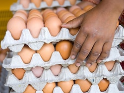 Row Over Omelettes, Boiled Eggs In Vegetarian Canteen Of Ahmedabad College