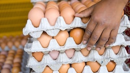 Eggs Out Of Midday Meal Scheme In Bengal. Trinamool Says "Told You So"
