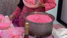 "Pink Is Everywhere" - Woman Makes 'Barbie Biryani', But Foodies Are Not In Favour