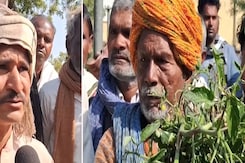 राजस्थान के बूंदी में टमाटर उगाने वाले किसानों को कैसे हो गया करोड़ों का नुकसान? राजस्थान के बूंदी में टमाटर उगाने वाले किसानों को कैसे हो गया करोड़ों का नुकसान?