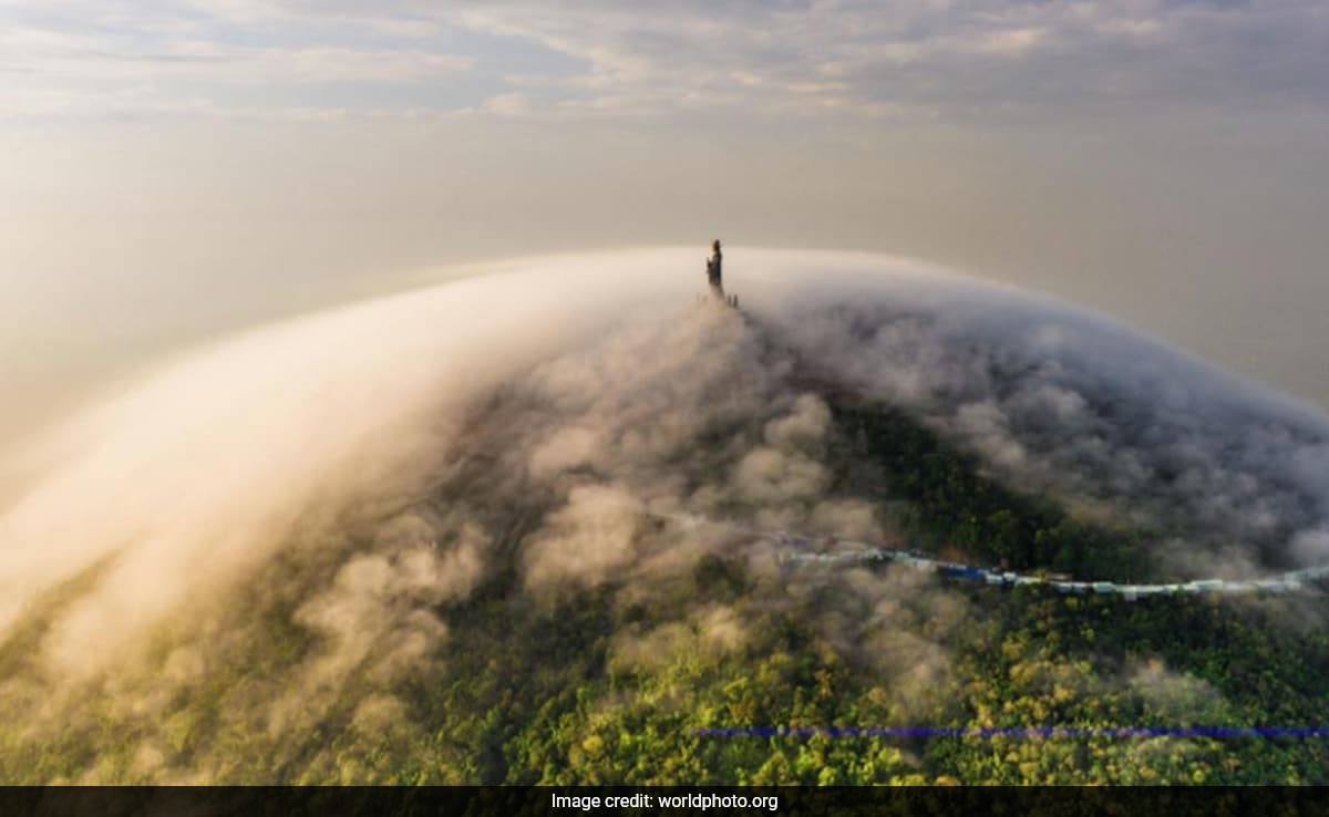 Sony World Photography Awards: Here's A Look At This Year's Winning Pics - Vimarsana News