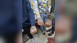 "Rose Gang" Men Behind Bike Theft Arrested In Delhi