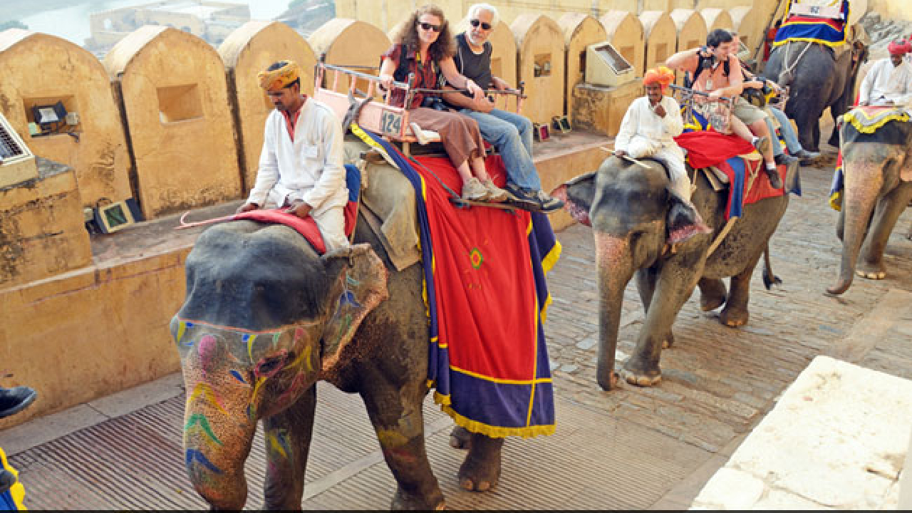 Jaipur: आमेर फोर्ट में रूसी पर्यटक को हथिनी 'गौरी' ने सूंड से उठाकर फेंका