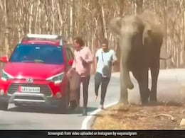गाड़ी से निकलकर हाथी की फोटो खींच रहे थे दो शख्स, गजराज को आया गुस्सा, जंगल में खूब दौड़ाया और फिर... गाड़ी से निकलकर हाथी की फोटो खींच रहे थे दो शख्स, गजराज को आया गुस्सा, जंगल में खूब दौड़ाया और फिर...