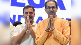 उद्धव ठाकरे मुख्यमंत्री पदाचा चेहरा असावा का? काँग्रेस नेता काय म्हणाला?