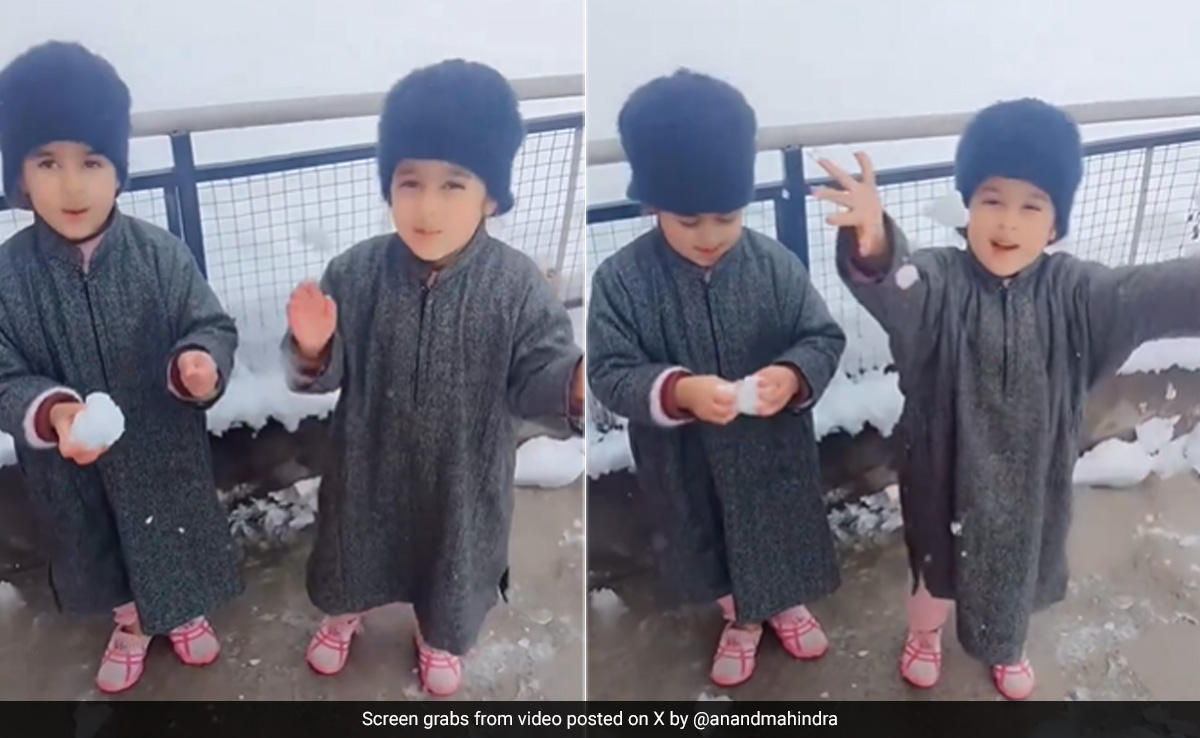 Adorable Video Shows Little Girls 'Reporting' On Snowfall In Kashmir, Anand Mahindra Reacts