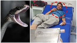 सांप ने काटा तो बोतल में बंद कर अस्पताल पहुंचा सिरफिरा, देखकर डॉक्टर भी रह गए दंग&nbsp;