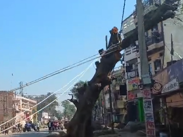 Tree Being Uprooted Crashes Into House In UP, 2 Women Injured