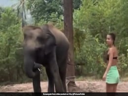हाथी के साथ फ्रेंडली होने की कोशिश कर रही थी महिला, तभी हुआ कुछ ऐसा हवा में उड़ती आई नजर हाथी के साथ फ्रेंडली होने की कोशिश कर रही थी महिला, तभी हुआ कुछ ऐसा हवा में उड़ती आई नजर