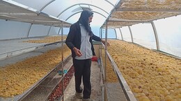 Success Story: इस एक आइडिया ने बदली किसान की किस्मत, 50 हजार से सीधा 15 लाख हो गई कमाई