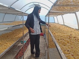 Success Story: इस एक आइडिया ने बदली किसान की किस्मत, 50 हजार से सीधा 15 लाख हो गई कमाई