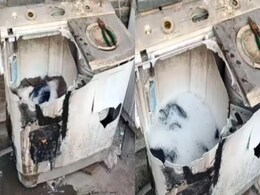 वायरल हो रहा है Antique वाशिंग मशीन का यह वीडियो, 10 हजार से बोली हो रही है शुरू वायरल हो रहा है Antique वाशिंग मशीन का यह वीडियो, 10 हजार से बोली हो रही है शुरू