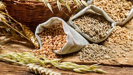 Battling Constipation On The Regular? This Desi Superfood Group Is The Answer