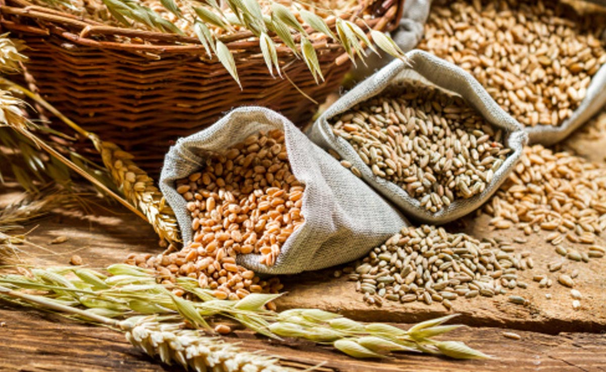 Desi whole grains can significantly help with constipation with a low-cost way