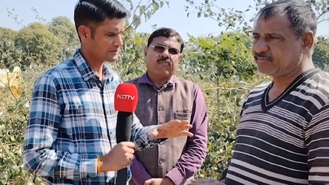 दौसा में पारंपरिक खेती छोड़ किसान दोस्तों ने की बागवानी, सरकार से की ये मांगे