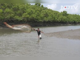 राजस्थान के किसानों को मिलेगा 1.35 लाख का अनुदान, जानें क्या है पूरी प्रक्रिया