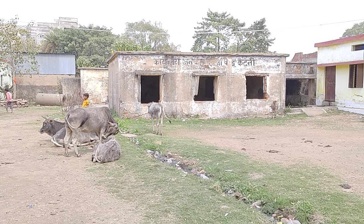 कैसे पढ़ेंगे बच्चे? स्कूल में शराबी और आवारा तत्वों का लगता है जमावड़ा, मैदान के बीचों बीच है नाली