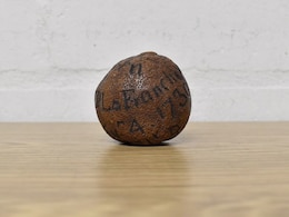 18th-Century Lemon: कैबिनेट के अंदर मिला मैसेज वाला 18वीं सदी का नींबू, नीलामी में करीब 1.5 लाख रुपये में बिका 18th-Century Lemon: कैबिनेट के अंदर मिला मैसेज वाला 18वीं सदी का नींबू, नीलामी में करीब 1.5 लाख रुपये में बिका