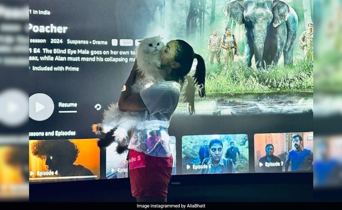 A Day After <i>Poacher</i> Release, Alia Bhatt Shares A Cute Pic With Pet Edward