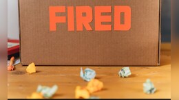 Employee Fired After Reporting Manager's Misconduct, Shares Ordeal on Reddit