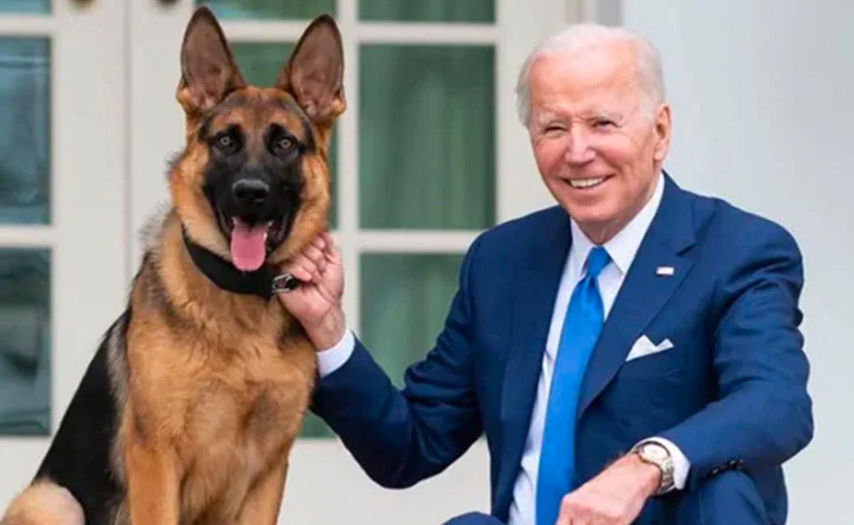 Joe Biden's Dog Bit US Secret Service Agents 24 Times: Report