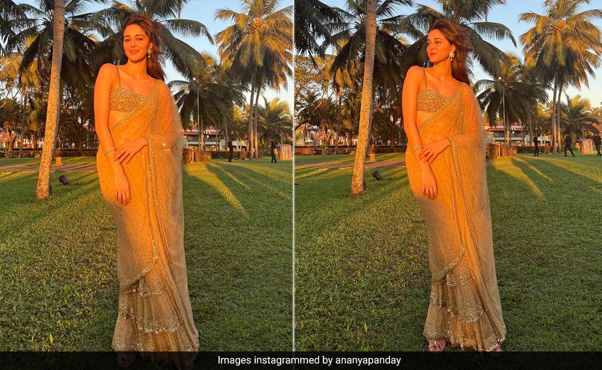 Ananya Panday Shone Brightly At Rakul Preet And Jackky Bhagnani's Goa Wedding In A Gold Sequin Arpita Mehta <i>Saree</i>