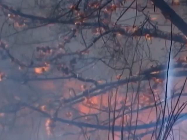 Chile Wildfires Kill Atleast 99 People, Emergency Declared: "It Was Raining Ash"
