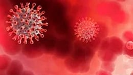 Covid Caused Cancer Tumours To Shrink In Mice: Study