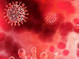 Covid Caused Cancer Tumours To Shrink In Mice: Study