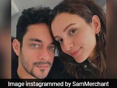 To "Dearest" Triptii Dimri, Birthday Wish From Rumoured Boyfriend Sam Merchant