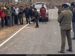 "<i>Kaun Hai Tumhara</i> Bowler?": Sachin Tendulkar Plays Cricket With Locals In Gulmarg. Watch "<i>Kaun Hai Tumhara</i> Bowler?": Sachin Tendulkar Plays Cricket With Locals In Gulmarg. Watch