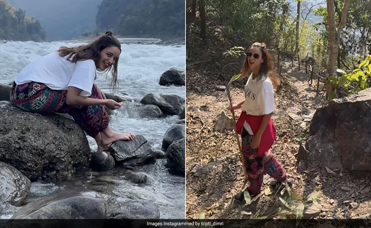 Triptii Dimri's Blissful Rishikesh Vacation Diary Is Reason Enough To Visit The City
