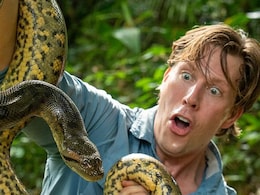 Ana Julia, World's Largest Snake, Found Dead in Amazon Rainforest Just Weeks After Discovery Ana Julia, World's Largest Snake, Found Dead in Amazon Rainforest Just Weeks After Discovery
