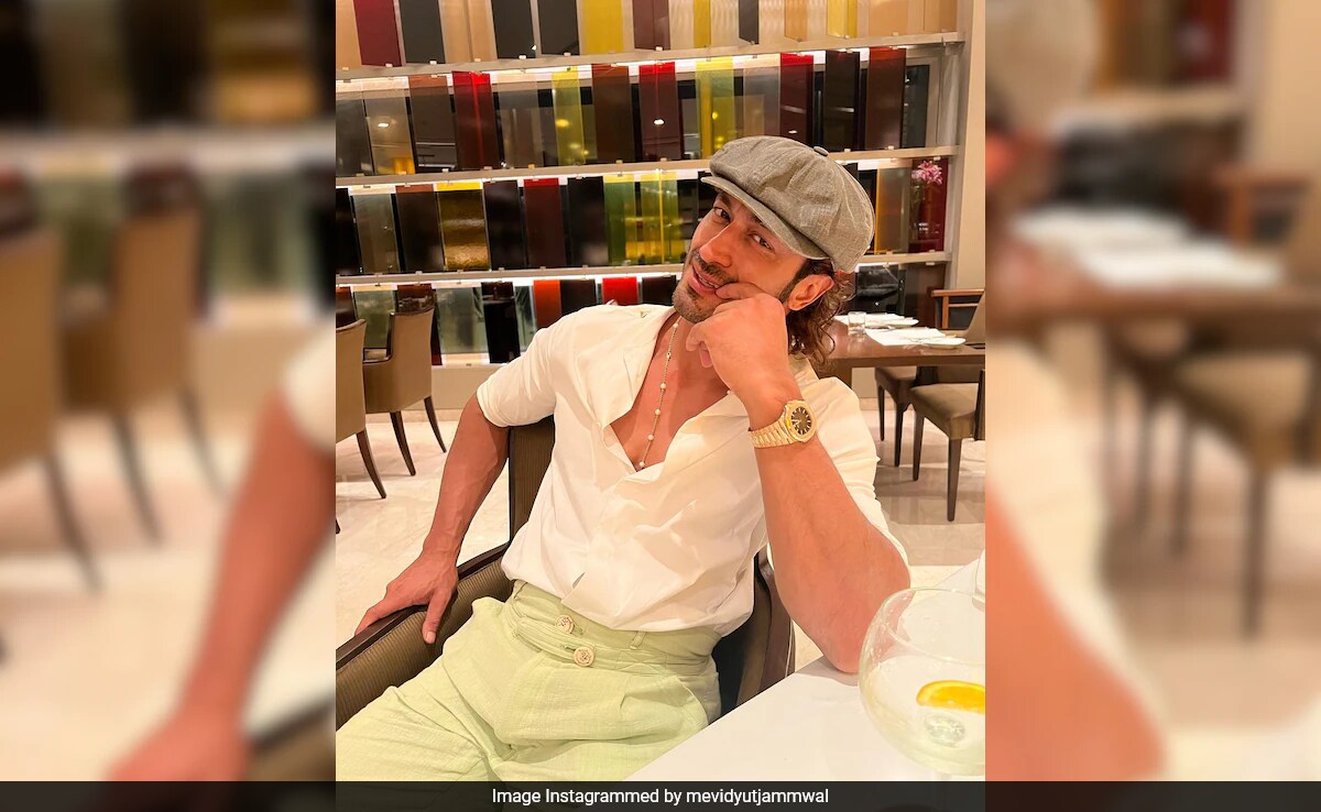 Explained: Vidyut Jammwal vs A Film Critic On Bribe Accusations