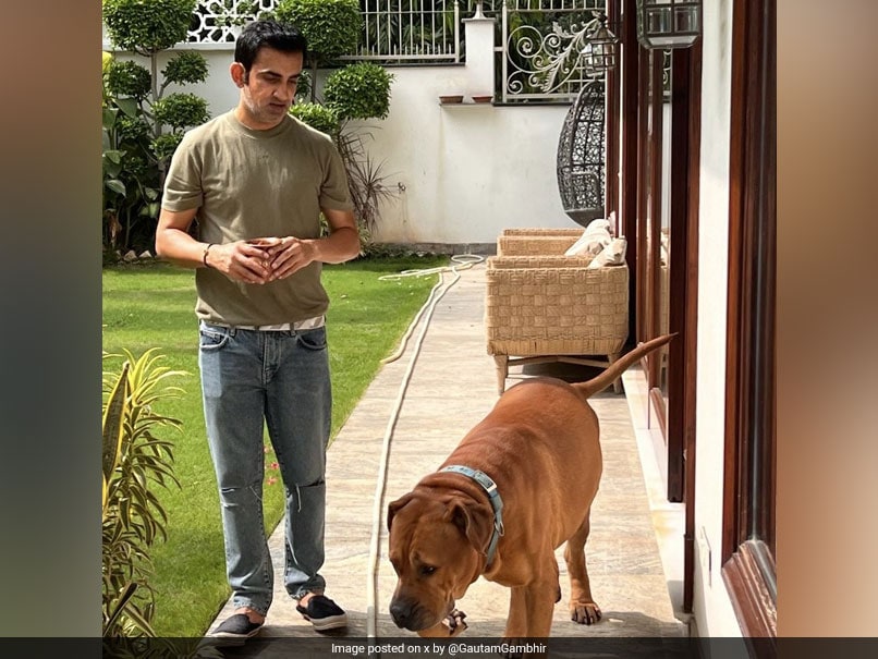 "Coming Back Home Will Never Be Same": Gautam Gambhir On Loss Of Pet Dog