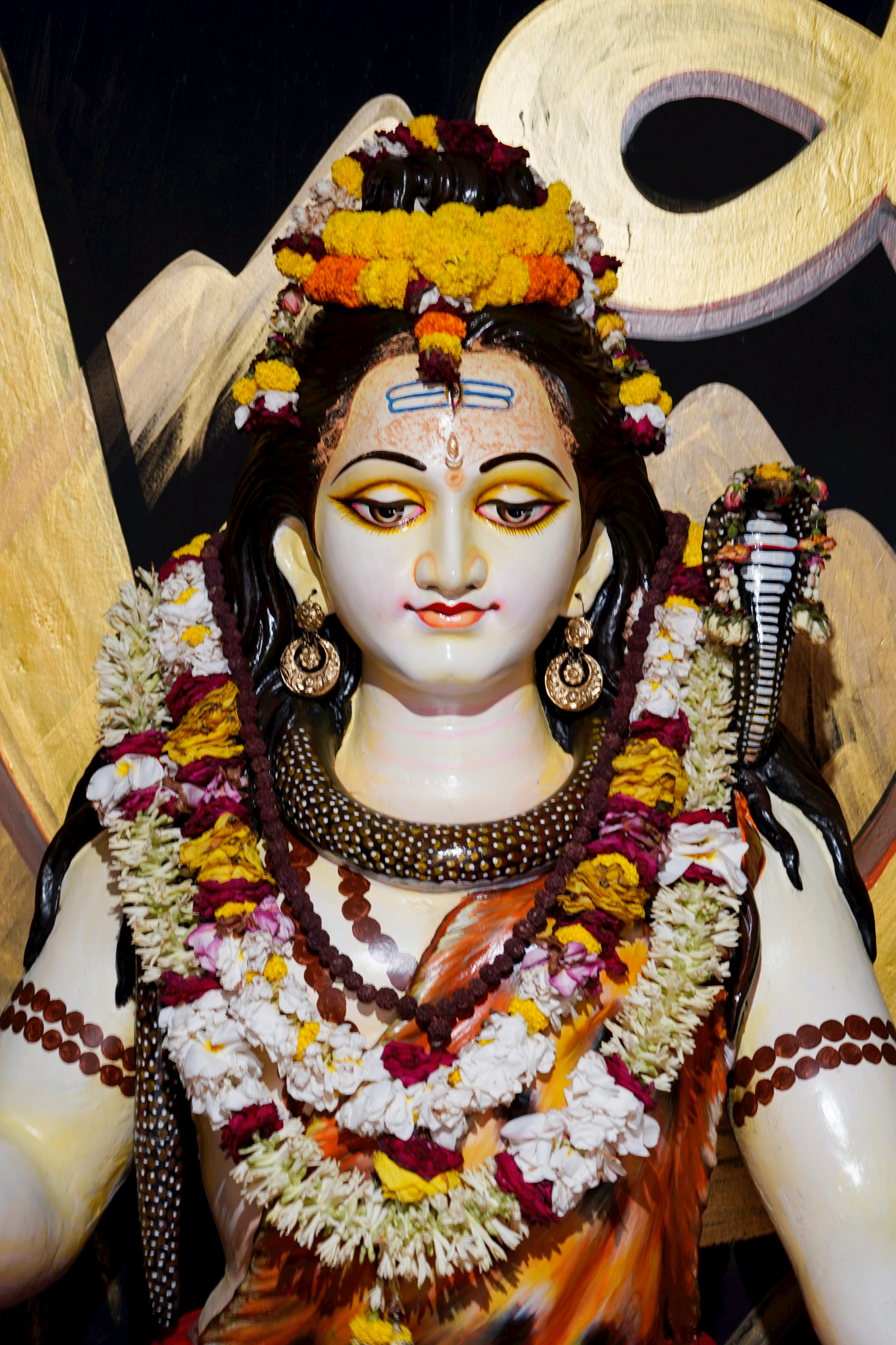 Mahashivratri 2024: महाशिवरात्रि की रात कर कीजिए ये उपाय, जीवन में भर जाएंगी खुशियां