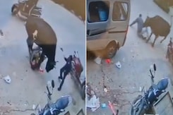 On CCTV, Man Rammed, Stomped By Bull While Bringing Son From School, Dies On CCTV, Man Rammed, Stomped By Bull While Bringing Son From School, Dies