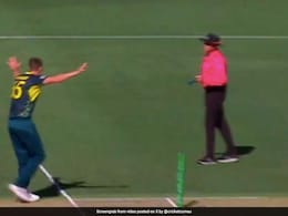 Watch: Umpire Struggles To Hold Laughter After Australia's Epic Act In 3rd T20I vs West Indies