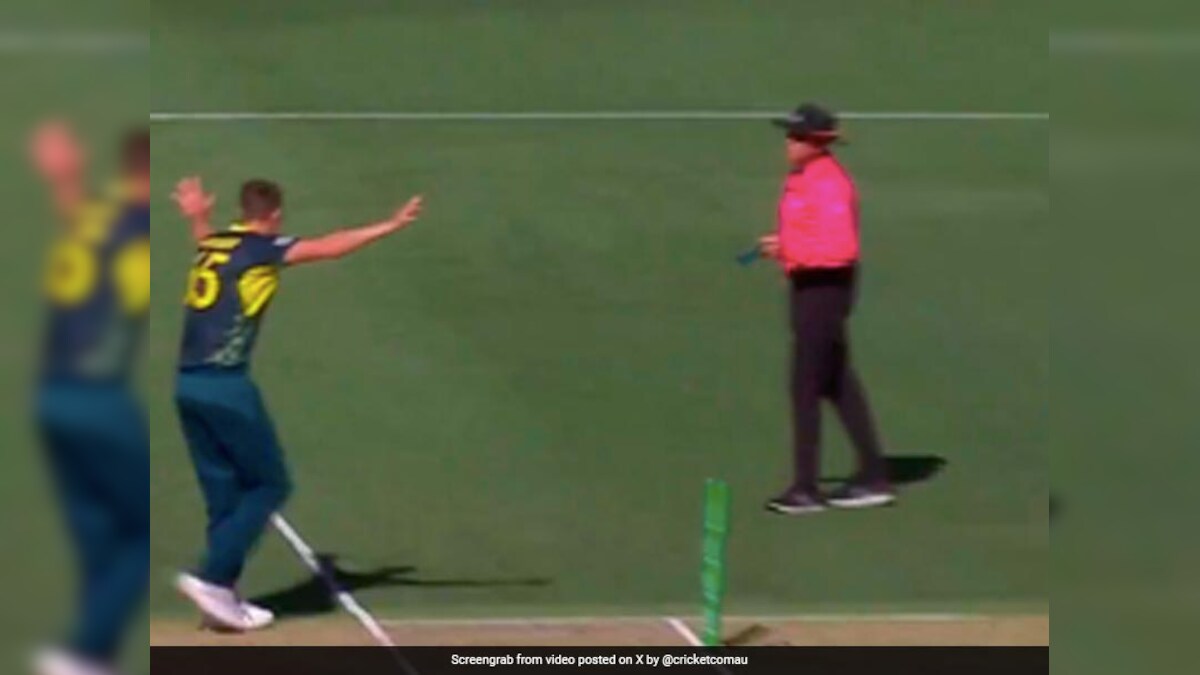 Umpire Struggles To Hold Laughter After Australia's Epic Act In 3rd ...